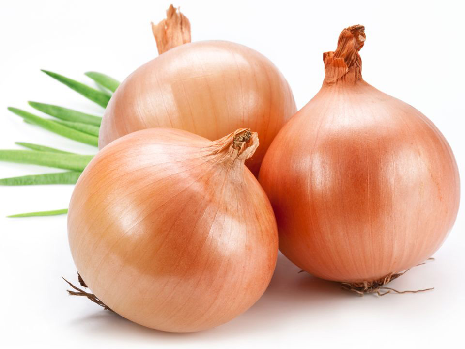 Save 20% on any single purchase of loose Onions