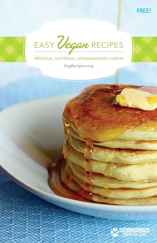 Free Easy Vegan Recipes Booklet