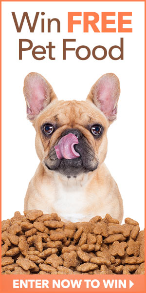 Win Free Pet Food For A Year!