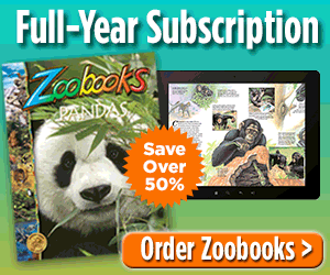 Purchase Full-Year subscription to Zoobooks and receive Free digital editions, FREE poster and FREE stickers