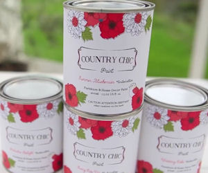 Free 4oz Sample Jar of Country Chic Paint