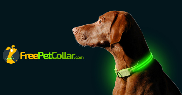 FREE L.E.D. Dog Collar, Just Pay Shipping