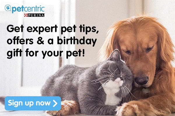 Sign up at Purina Petcentric and enjoy a special gift for your pet on you pets birthday or adoption month!