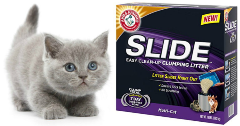 *HURRY* Free Arm & Hammer Slide Cat Litter with Mail-In Rebate
