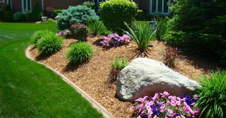 Free Wood Chips + Free Delivery with Chip Drop