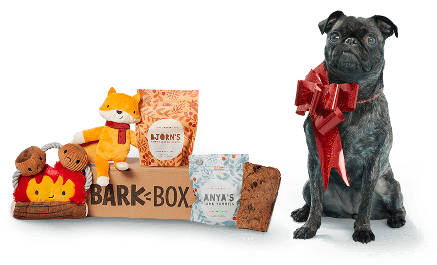 BarkBox ONLY $15 on Sale + Free Shipping in Time for Christmas