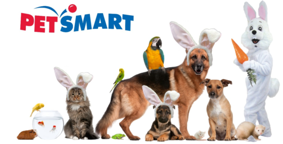 Free Photos with Easter Bunny at PetSmart