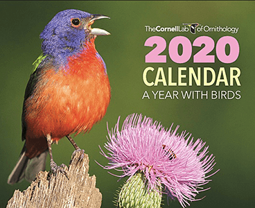 Free 2020 A Year With Birds Calendar