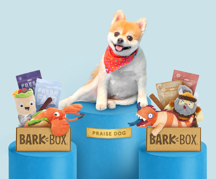 BarkBox on Sale for ONLY $5.00 (Reg. $22)