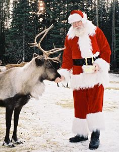 Free 24/7 Live Feed of Santa’s Reindeer