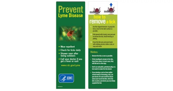 Free Prevent Tickborne Diseases Bookmark