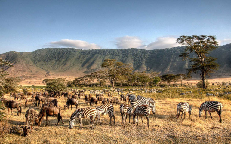 Win an All-Inclusive 5-Day Trip to Tanzania