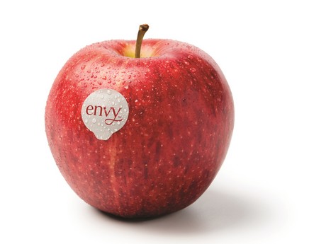 *RARE* Save $0.50 any ONE (1) Envy Apples Bulk Purchase