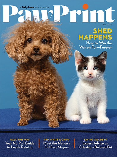 Free PawPrint Magazine