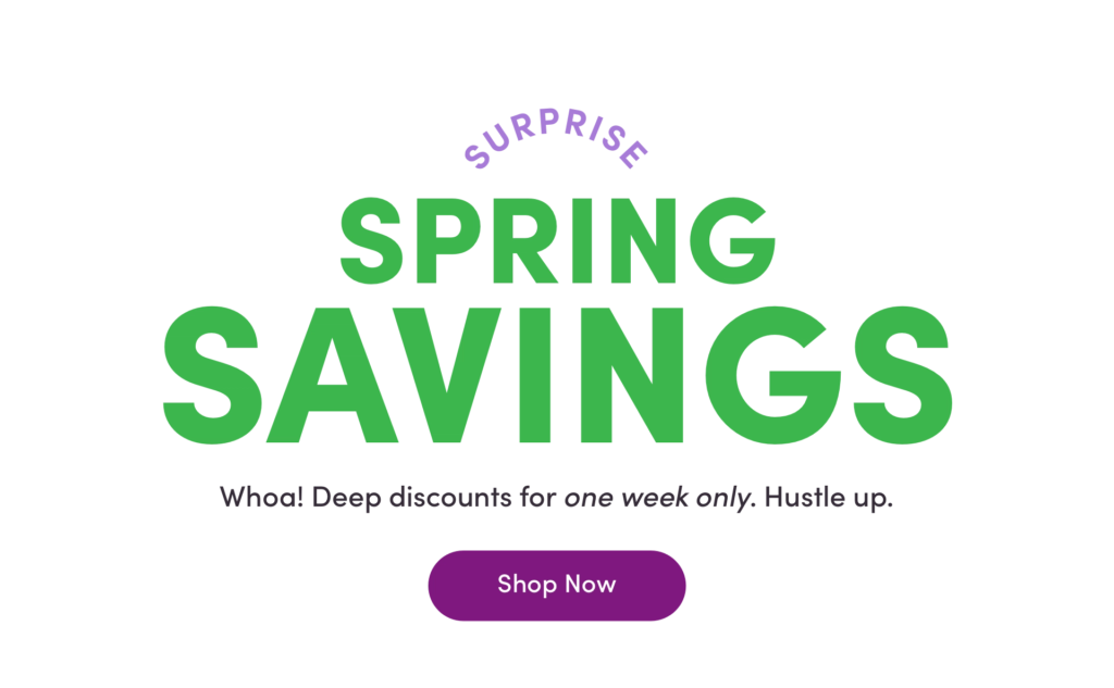 Wayfair Spring Sale
